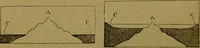An illustration from A natural history of the animal kingdom : being a systematic and popular description of the habits, structure, and classification of animals, from the lowest to the highest forms. Arranged according to their organisation / by W. S. Dallas. (1860)