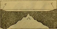 An illustration from A natural history of the animal kingdom : being a systematic and popular description of the habits, structure, and classification of animals, from the lowest to the highest forms. Arranged according to their organisation / by W. S. Dallas. (1860)
