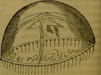 An illustration from A natural history of the animal kingdom : being a systematic and popular description of the habits, structure, and classification of animals, from the lowest to the highest forms. Arranged according to their organisation / by W. S. Dallas. (1860)