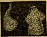 An illustration from A natural history of the animal kingdom : being a systematic and popular description of the habits, structure, and classification of animals, from the lowest to the highest forms. Arranged according to their organisation / by W. S. Dallas. (1860)