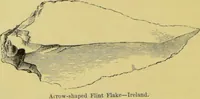 Picture 29 of 75 from Pre-historic times, as illustrated by ancient remains, and the manners and customs of modern savages / by John Lubbock. (1865), leaf 100