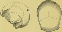 An illustration from Pre-historic times, as illustrated by ancient remains, and the manners and customs of modern savages / by John Lubbock. (1865)