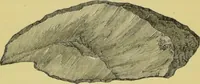 An illustration from Pre-historic times, as illustrated by ancient remains, and the manners and customs of modern savages / by John Lubbock. (1865)