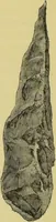 An illustration from Pre-historic times, as illustrated by ancient remains, and the manners and customs of modern savages / by John Lubbock. (1865)