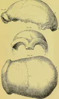 An illustration from Pre-historic times, as illustrated by ancient remains, and the manners and customs of modern savages / by John Lubbock. (1865)