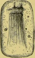 An illustration from Pre-historic times, as illustrated by ancient remains, and the manners and customs of modern savages / by John Lubbock. (1865)