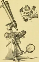 An illustration from The microscope: its history, construction, and application : being a familiar introduction to the use of the instrument and the study of microscopical sciences / by Jabez Hogg. (1869)