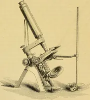 An illustration from The microscope: its history, construction, and application : being a familiar introduction to the use of the instrument and the study of microscopical sciences / by Jabez Hogg. (1869)