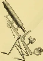 An illustration from The microscope: its history, construction, and application : being a familiar introduction to the use of the instrument and the study of microscopical sciences / by Jabez Hogg. (1869)