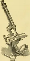 An illustration from The microscope: its history, construction, and application : being a familiar introduction to the use of the instrument and the study of microscopical sciences / by Jabez Hogg. (1869)