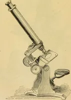 An illustration from The microscope: its history, construction, and application : being a familiar introduction to the use of the instrument and the study of microscopical sciences / by Jabez Hogg. (1869)