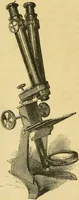 An illustration from The microscope: its history, construction, and application : being a familiar introduction to the use of the instrument and the study of microscopical sciences / by Jabez Hogg. (1869)