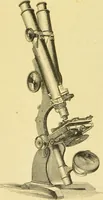 An illustration from The microscope: its history, construction, and application : being a familiar introduction to the use of the instrument and the study of microscopical sciences / by Jabez Hogg. (1869)