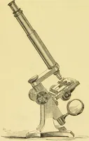 An illustration from The microscope: its history, construction, and application : being a familiar introduction to the use of the instrument and the study of microscopical sciences / by Jabez Hogg. (1869)