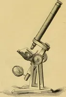 An illustration from The microscope: its history, construction, and application : being a familiar introduction to the use of the instrument and the study of microscopical sciences / by Jabez Hogg. (1869)