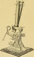 An illustration from The microscope: its history, construction, and application : being a familiar introduction to the use of the instrument and the study of microscopical sciences / by Jabez Hogg. (1869)