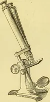 An illustration from The microscope: its history, construction, and application : being a familiar introduction to the use of the instrument and the study of microscopical sciences / by Jabez Hogg. (1869)