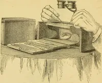 An illustration from The microscope: its history, construction, and application : being a familiar introduction to the use of the instrument and the study of microscopical sciences / by Jabez Hogg. (1869)