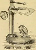 An illustration from The microscope: its history, construction, and application : being a familiar introduction to the use of the instrument and the study of microscopical sciences / by Jabez Hogg. (1869)