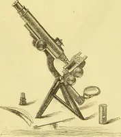 An illustration from The microscope: its history, construction, and application : being a familiar introduction to the use of the instrument and the study of microscopical sciences / by Jabez Hogg. (1869)