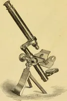 An illustration from The microscope: its history, construction, and application : being a familiar introduction to the use of the instrument and the study of microscopical sciences / by Jabez Hogg. (1869)