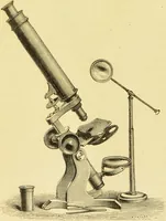 An illustration from The microscope: its history, construction, and application : being a familiar introduction to the use of the instrument and the study of microscopical sciences / by Jabez Hogg. (1869)