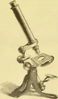 An illustration from The microscope: its history, construction, and application : being a familiar introduction to the use of the instrument and the study of microscopical sciences / by Jabez Hogg. (1869)