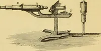 An illustration from The microscope: its history, construction, and application : being a familiar introduction to the use of the instrument and the study of microscopical sciences / by Jabez Hogg. (1869)