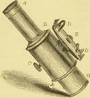 An illustration from The microscope: its history, construction, and application : being a familiar introduction to the use of the instrument and the study of microscopical sciences / by Jabez Hogg. (1869)