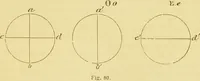 An illustration from The microscope: its history, construction, and application : being a familiar introduction to the use of the instrument and the study of microscopical sciences / by Jabez Hogg. (1869)
