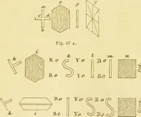 An illustration from The microscope: its history, construction, and application : being a familiar introduction to the use of the instrument and the study of microscopical sciences / by Jabez Hogg. (1869)