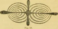 An illustration from The microscope: its history, construction, and application : being a familiar introduction to the use of the instrument and the study of microscopical sciences / by Jabez Hogg. (1869)