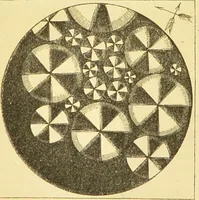 An illustration from The microscope: its history, construction, and application : being a familiar introduction to the use of the instrument and the study of microscopical sciences / by Jabez Hogg. (1869)