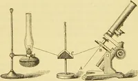 An illustration from The microscope: its history, construction, and application : being a familiar introduction to the use of the instrument and the study of microscopical sciences / by Jabez Hogg. (1869)
