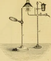An illustration from The microscope: its history, construction, and application : being a familiar introduction to the use of the instrument and the study of microscopical sciences / by Jabez Hogg. (1869)