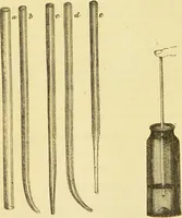 An illustration from The microscope: its history, construction, and application : being a familiar introduction to the use of the instrument and the study of microscopical sciences / by Jabez Hogg. (1869)