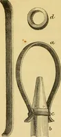 An illustration from The microscope: its history, construction, and application : being a familiar introduction to the use of the instrument and the study of microscopical sciences / by Jabez Hogg. (1869)