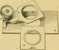 An illustration from The microscope: its history, construction, and application : being a familiar introduction to the use of the instrument and the study of microscopical sciences / by Jabez Hogg. (1869)