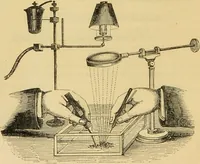 An illustration from The microscope: its history, construction, and application : being a familiar introduction to the use of the instrument and the study of microscopical sciences / by Jabez Hogg. (1869)