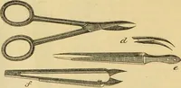 An illustration from The microscope: its history, construction, and application : being a familiar introduction to the use of the instrument and the study of microscopical sciences / by Jabez Hogg. (1869)