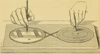 An illustration from The microscope: its history, construction, and application : being a familiar introduction to the use of the instrument and the study of microscopical sciences / by Jabez Hogg. (1869)