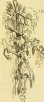 An illustration from The microscope: its history, construction, and application : being a familiar introduction to the use of the instrument and the study of microscopical sciences / by Jabez Hogg. (1869)