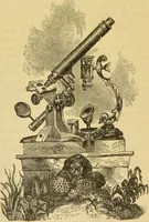 An illustration from The microscope: its history, construction, and application : being a familiar introduction to the use of the instrument and the study of microscopical sciences / by Jabez Hogg. (1869)