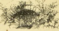 An illustration from The microscope: its history, construction, and application : being a familiar introduction to the use of the instrument and the study of microscopical sciences / by Jabez Hogg. (1869)