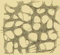 An illustration from The microscope: its history, construction, and application : being a familiar introduction to the use of the instrument and the study of microscopical sciences / by Jabez Hogg. (1869)