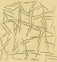 An illustration from The microscope: its history, construction, and application : being a familiar introduction to the use of the instrument and the study of microscopical sciences / by Jabez Hogg. (1869)