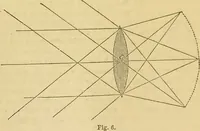 An illustration from The microscope: its history, construction, and application : being a familiar introduction to the use of the instrument and the study of microscopical sciences / by Jabez Hogg. (1869)