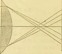 An illustration from The microscope: its history, construction, and application : being a familiar introduction to the use of the instrument and the study of microscopical sciences / by Jabez Hogg. (1869)