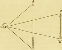 An illustration from The microscope: its history, construction, and application : being a familiar introduction to the use of the instrument and the study of microscopical sciences / by Jabez Hogg. (1869)