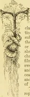 An illustration from The microscope: its history, construction, and application : being a familiar introduction to the use of the instrument and the study of microscopical sciences / by Jabez Hogg. (1869)